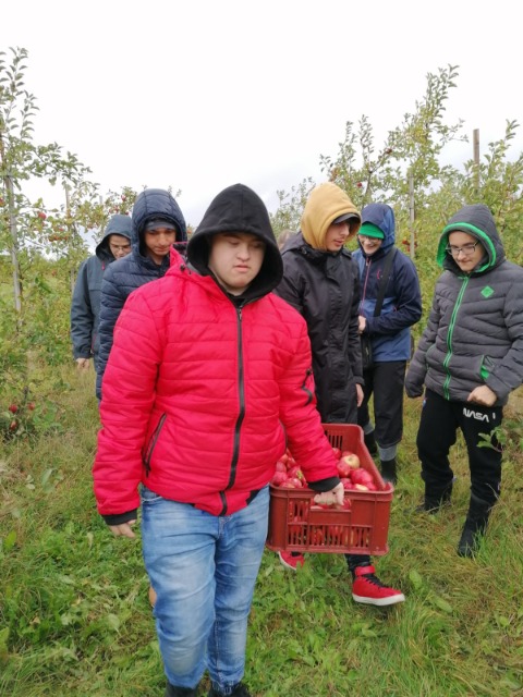 hdimga53d40e63141ed164aef7b103dba06 grupa czniów niosąca skrzynkę z jabłkami