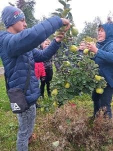 hdimge404f4e71f66cb67e2151138de7a61 uczniowie zrywający jabłka z drzewa